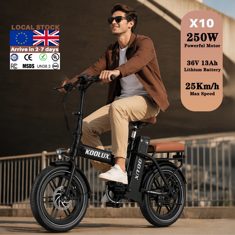 Mountain Biking Europe - Bicicletta Elettrica Pieghevole X10 Europa Polonia,